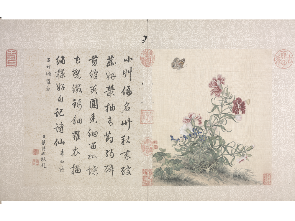 图片[7]-Lang Shining Flowers and Birds Illustrated Books-China Archive